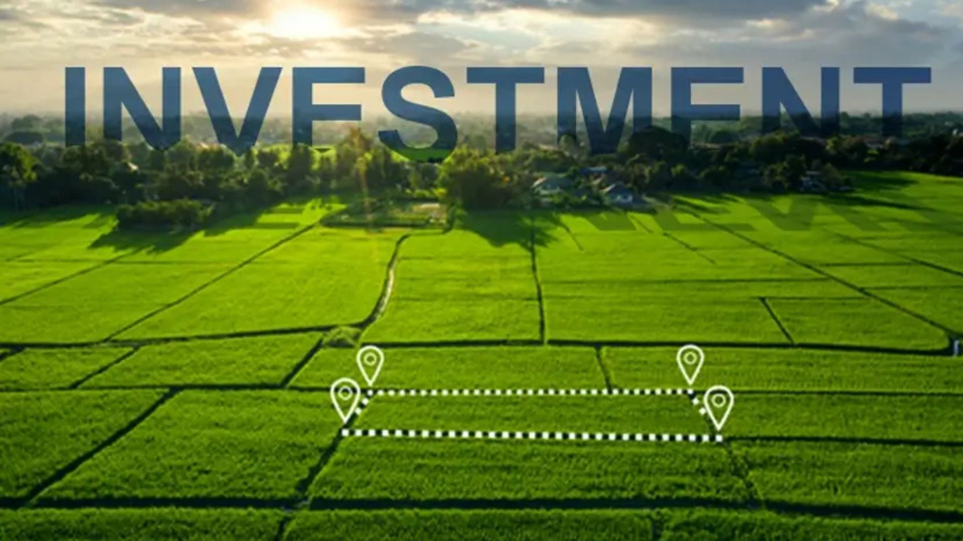Why Investing in Land is One of the Smartest Decisions Today